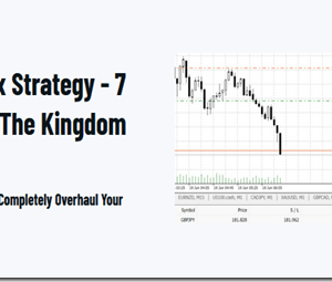 1 Minute Master – The Holy Grail Forex Strategy – 7 Setups To Conquer The Kingdom Download