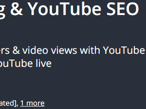 [GET] Alex Genadinik – 2019 YouTube Marketing and YouTube SEO To Get 1,000,000+ Views Download