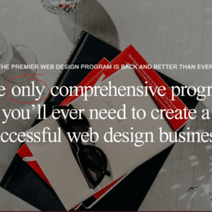 Alyssa Brady – Winning at WordPress Download