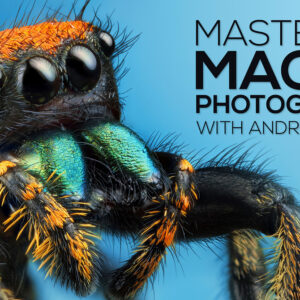 [SUPER HOT SHARE] Andres Moline – Fstoppers – Mastering Macro Photography Download