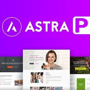 Astra Pro – Responsive Multi-Purpose Theme For WordPress Free Download