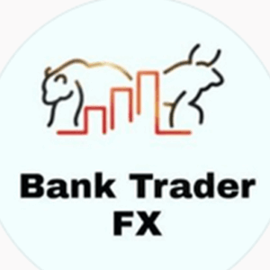 Bank TraderFX SA Course Free Download