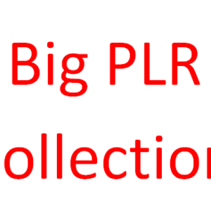 [GET] Big PLR collection Download