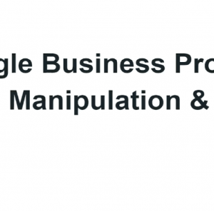 Brock Misner – Ranking Google Business Profiles Download