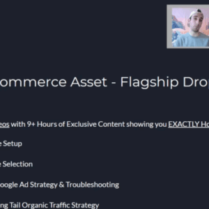 Build Assets Online – Elite Fleet Plus Download