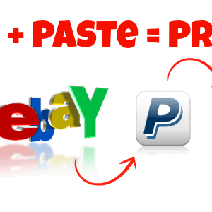 [SUPER HOT SHARE] Build Autopilot eBay $ Dropshipping Store [Walmart/Amazon/Aliexpress Arbitrage] Download