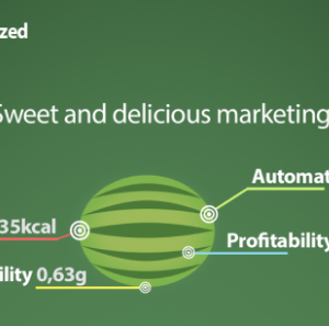 CPA Melonized – How to make  daily with CPA and Targeted Traffic Free Download