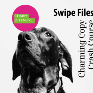 [SUPER HOT SHARE] Charm Offensive – Charming Copy Crash Course Download