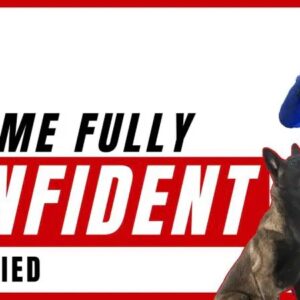 Chase Hughes – The Confidence Reboot Program Download