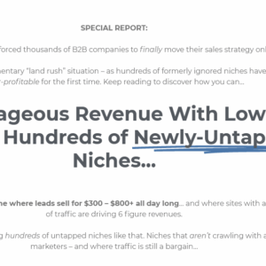Chris Rempel – B2B Matchmaking-Special Report Download