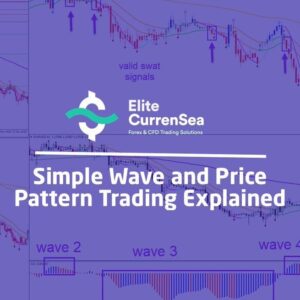 [SUPER HOT SHARE] Chris Svorcik – Simple Wave Analysis and Trading Download