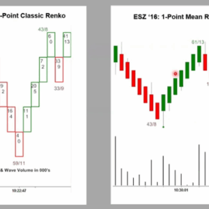 David Weis – Weis on Wyckoff Renko Charts Free Download