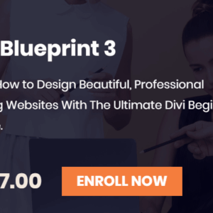 [SUPER HOT SHARE] Divi Blueprint 3.0 Download