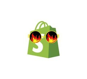 Dropshipping 2022 – Mastering Shopify Dropshipping Free Download