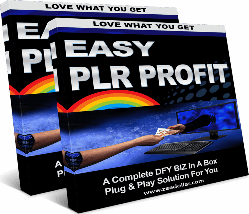 [GET] EASY PLR PROFIT Free Download