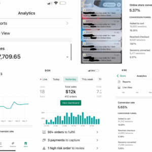 Ecom University – Ecom University Blueprint 2.0 Download