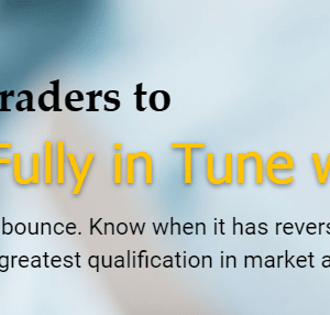 [GET] Forex – RTM Course Download