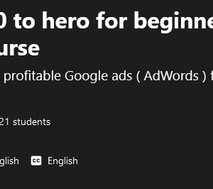 Google Ads 0 to Hero For Beginners Complete AdWords Course Free Download