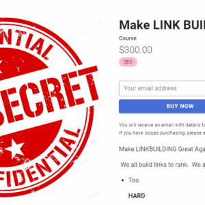 Holly Starks – Make LINK BUILDING Great Again! Download