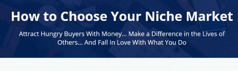 How to Choose Your Niche Market Free Download