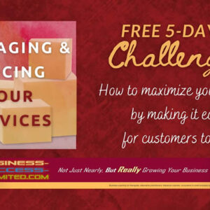 How to ‘Package & Price Your Services’ in just 5 Days Free Download