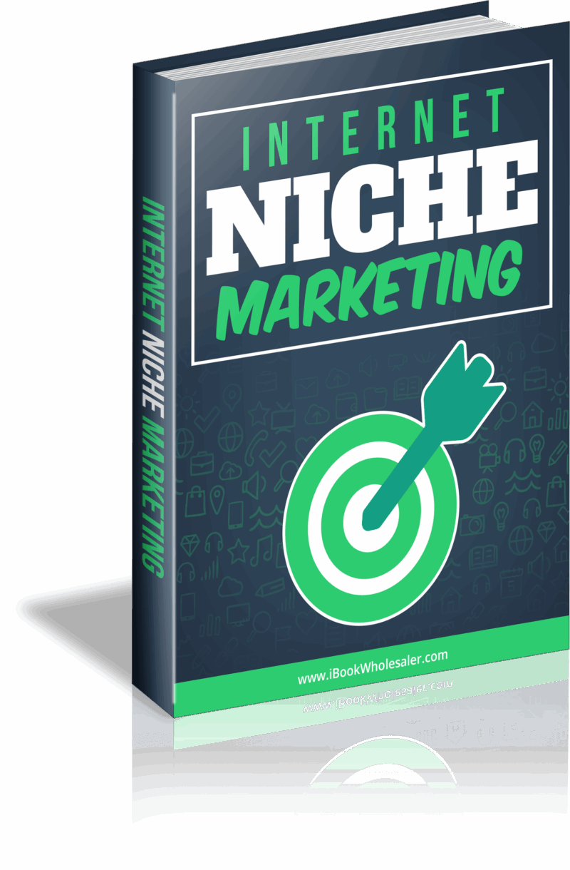 Internet Niche Marketing PLR Free Download
