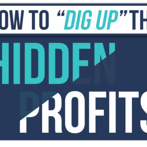 Justin Goff – How To “Dig Up” The Hidden Profits In Any Email List Download
