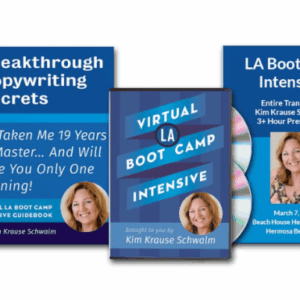 Kim Krause Schwalm – Virtual LA Boot Camp Intensive Download