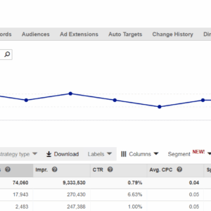 [SUPER HOT SHARE] Kody Karppinen – Bing Ads Training Download