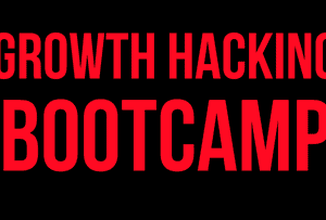 Kyrill Krystallis – Growth Hacking Bootcamp Download
