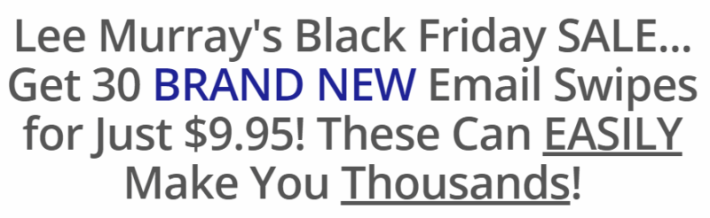 [GET] Lee Murray – BLACK FRIDAY: 30 BRAND NEW Promo Email Swipes! Download