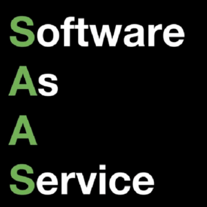 Matt C Milne – The Savvy SAAS System Download