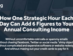 Michael Zipursky – Momentum (Consulting Success) Download