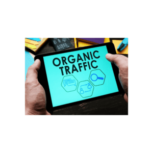 Organic Acceleration – How I turned  to 7 figs with Organic Traffic Download