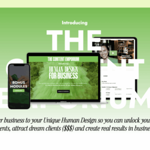 Phoebe Khun – Human Design For Business Download