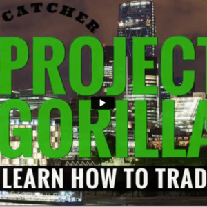Project Gorilla Download