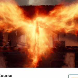 Rekt Capital – Alt Coin Investing Course Download