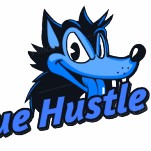 Shan Din – Blue Hustle 2.0 + OTOs Free Download