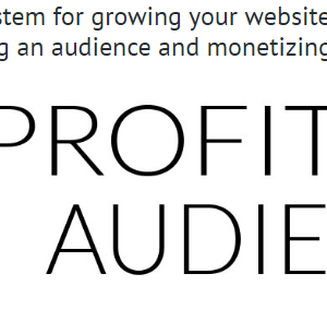 Steve Chou – Profitable Audience Download