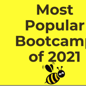 StockBee – Bootcamp 2021 Download