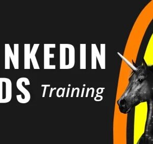 Super Lumen – The LinkedIn Ads Course Download
