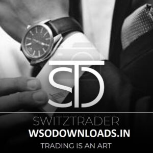 [SUPER HOT SHARE] SwitzTrader – Complete Video Course Download