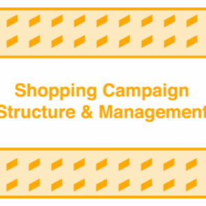 Take Some Risk – Shopping Campaign Structure and Management Download