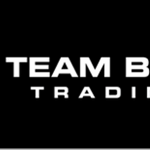 Team Bull Trading Academy Download