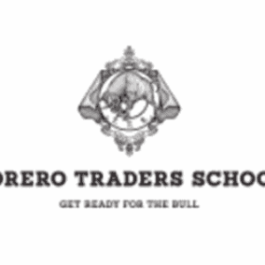 Torero Traders School – Forex Trading MasterClass Download