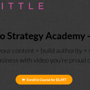 [SUPER HOT SHARE] Trena Little – Video Strategy Academy (VIP) Download