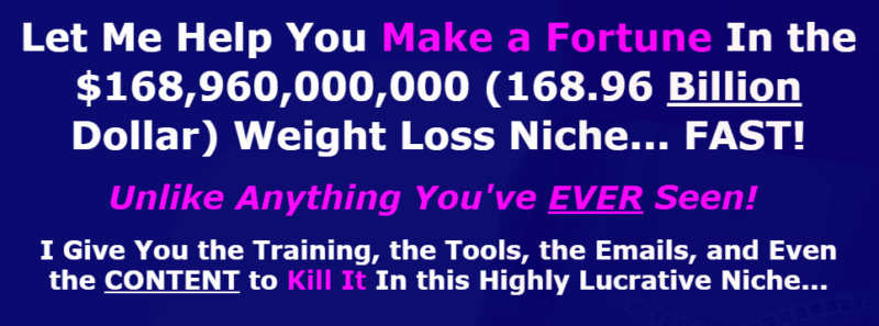 [GET] Weight Loss Niche Domination Download