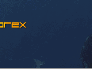 Yin Yang Forex Training Program – Trading Mastermind Download