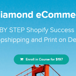 [SUPER HOT SHARE] Youse – Diamond eCommerce Download