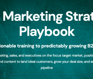 Zinkevich & Blagojevic – B2B Marketing Strategy Playbook Download